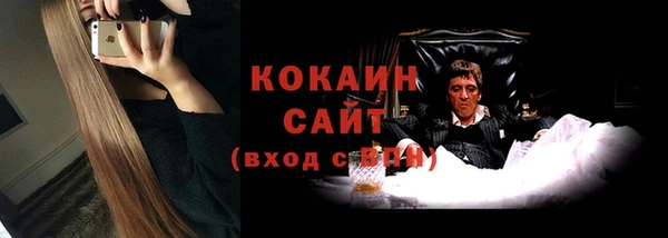гашик Арсеньев