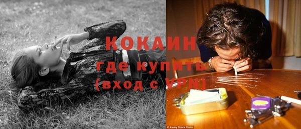 гашик Арсеньев