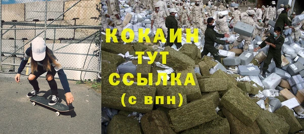гашик Арсеньев