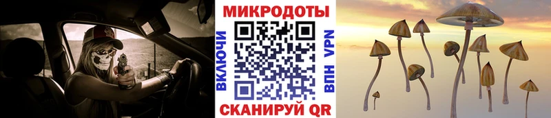 цены Рошаль Псилоцибиновые грибы GOLDEN TEACHER